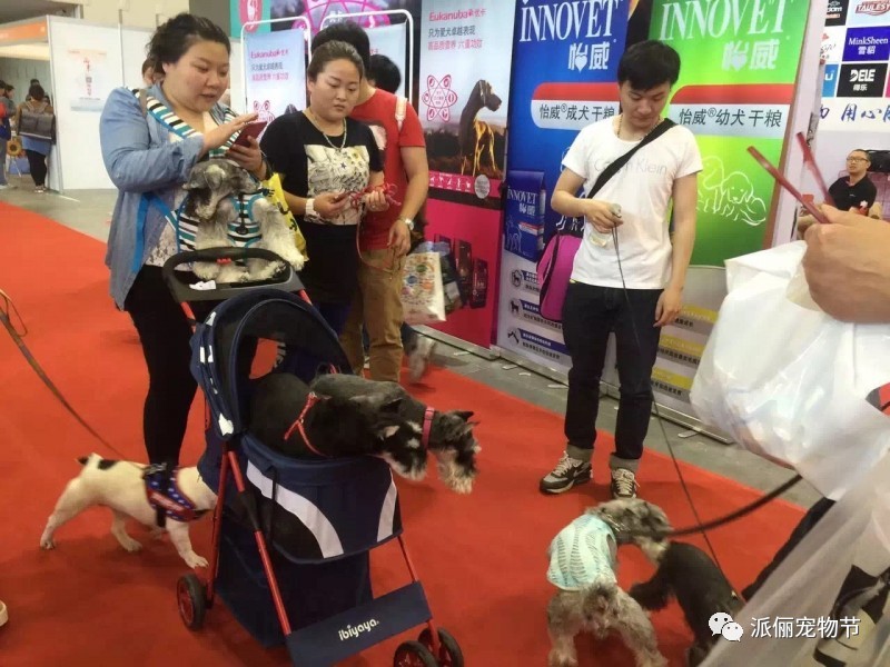 看完《战狼2》，我竟然觉得自己不如一只狗……-34.jpg