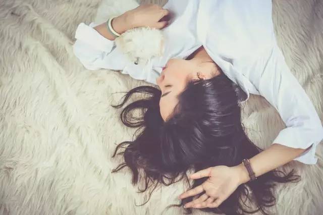 所有纯种犬都是近亲繁殖来的？-2.jpg