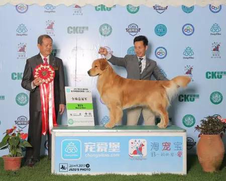 这位低调的男神最近烫头了…不说还真没看出来-2.jpg
