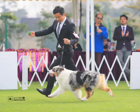 这位低调的男神最近烫头了…不说还真没看出来-5.jpg