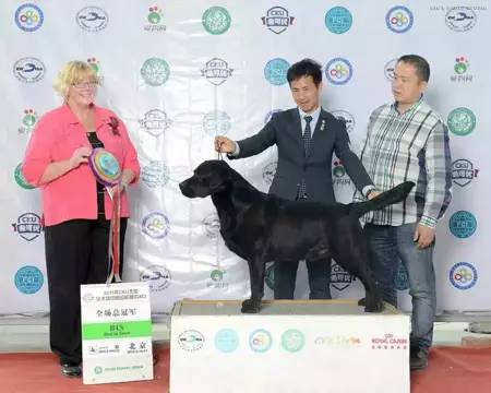 这位低调的男神最近烫头了…不说还真没看出来-4.jpg