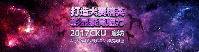 廊坊全犬种冠军展 金秋十月， 等你来战！-2.jpg
