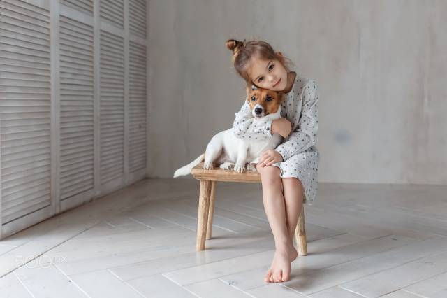 我想领养一只狗，最好是纯种犬-2.jpg
