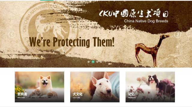 CKU新官网进入测试阶段，邀您共同体验与完善-4.jpeg