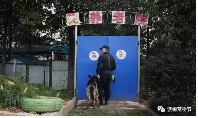 “我们”老了，该去哪里……-3.jpeg