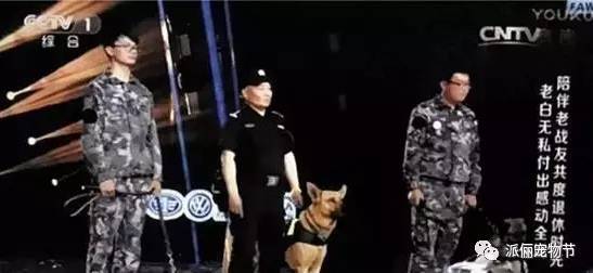 “我们”老了，该去哪里……-8.jpeg