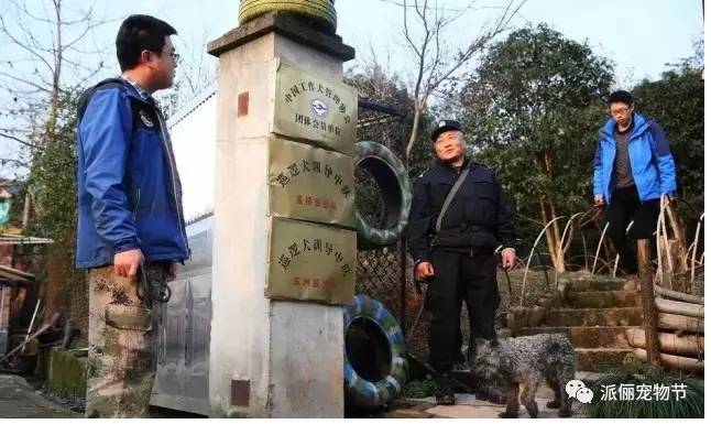 “我们”老了，该去哪里……-10.jpeg
