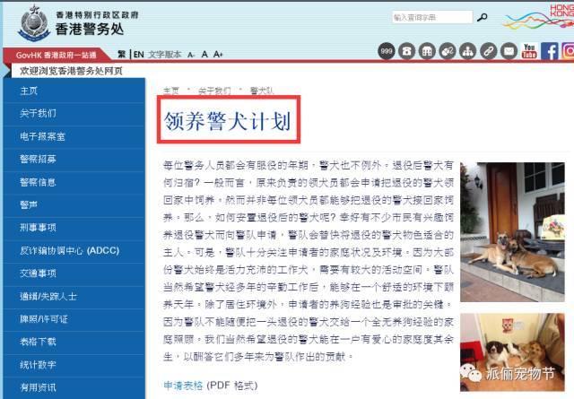 “我们”老了，该去哪里……-13.jpeg