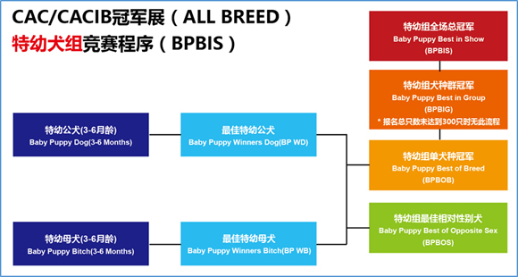 亚洲杯首轮报名明日下午三点截止，这拨儿没赶上下拨儿就贵了-4.jpeg