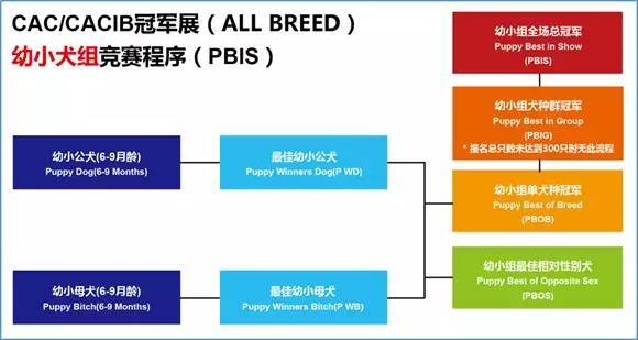 亚洲杯首轮报名明日下午三点截止，这拨儿没赶上下拨儿就贵了-5.jpeg