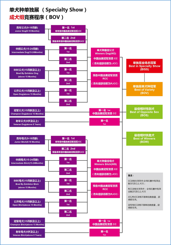 亚洲杯首轮报名明日下午三点截止，这拨儿没赶上下拨儿就贵了-11.jpeg