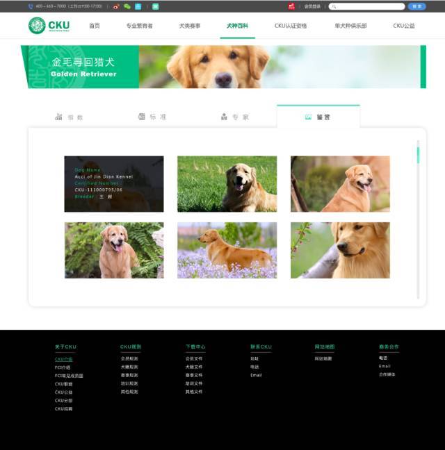 以下犬种照片将优先进入CKU新官网！-1.jpeg