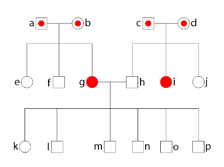 小狗有问题，说明父母基因不好？（上）-5.png