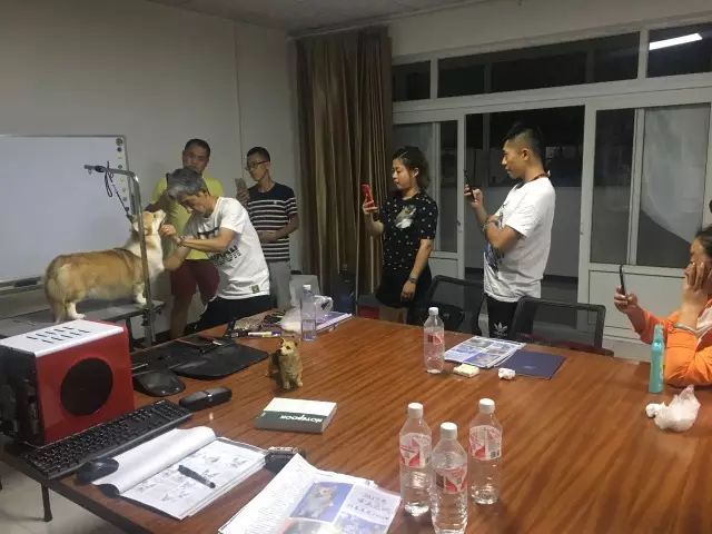 2017 CKU牵犬师精英实训课程 时老师分享最专业的柯基繁殖经验-6.jpeg