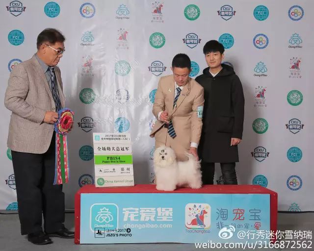 聚焦牵犬师 | 汪旭：牵犬师，对我来讲是艺术也是人生！-1.jpeg