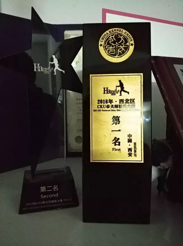 聚焦牵犬师 | 汪旭：牵犬师，对我来讲是艺术也是人生！-2.jpeg