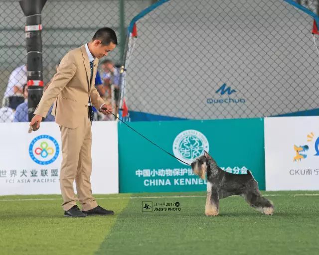 聚焦牵犬师 | 汪旭：牵犬师，对我来讲是艺术也是人生！-3.jpeg