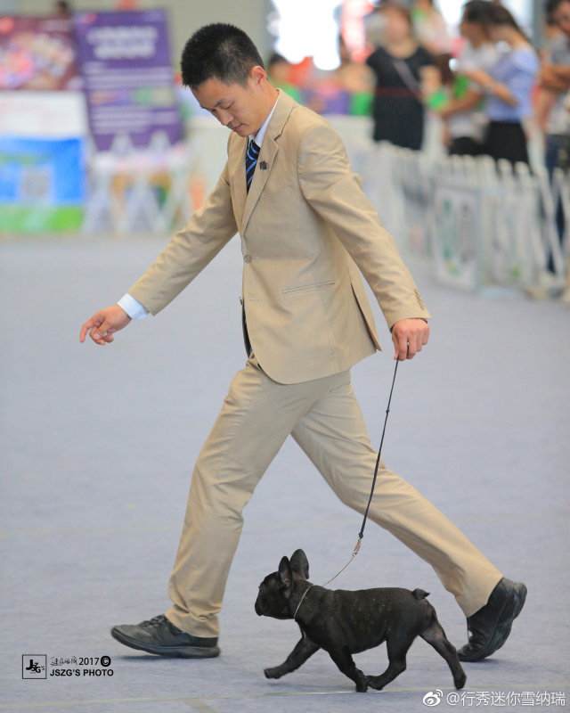 聚焦牵犬师 | 汪旭：牵犬师，对我来讲是艺术也是人生！-6.jpeg