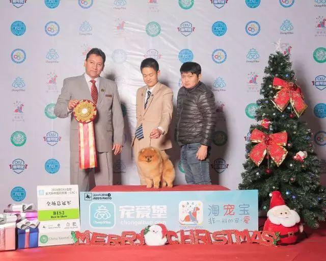 聚焦牵犬师 | 汪旭：牵犬师，对我来讲是艺术也是人生！-5.jpeg
