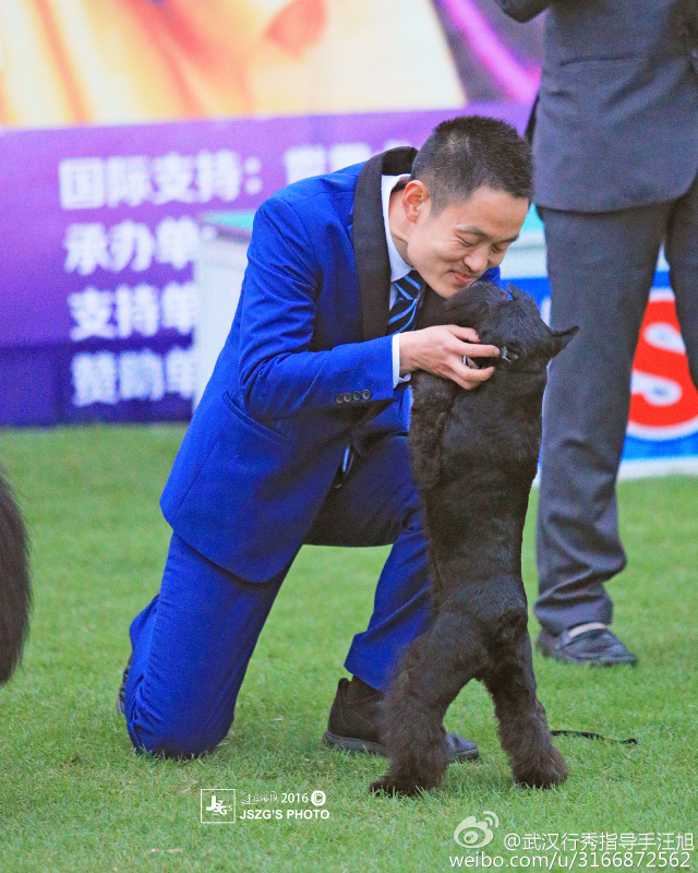 聚焦牵犬师 | 汪旭：牵犬师，对我来讲是艺术也是人生！-7.jpeg