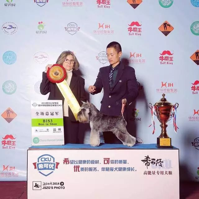 聚焦牵犬师 | 汪旭：牵犬师，对我来讲是艺术也是人生！-9.jpeg