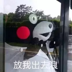 劲爆好消息！FCI亚洲杯犬展即将开展！更让人兴奋的是......-1.jpeg