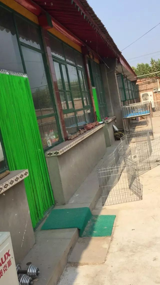 犬舍推荐 | 用心繁育最优质的柴宝宝-9.jpeg