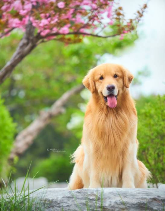 娱乐圈的各种人设，10月亚洲杯全都有！-8.jpeg