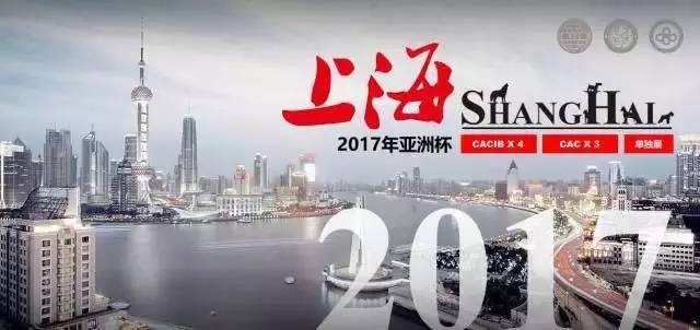 娱乐圈的各种人设，10月亚洲杯全都有！-25.jpeg