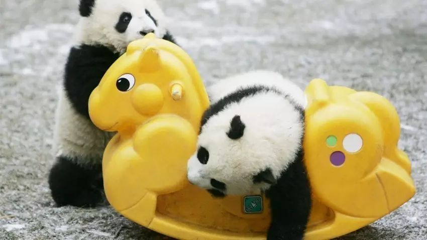 分享一组国外产箱设计图片-1.jpeg