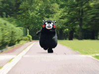 逛亚洲杯不露怯，独家攻略请查收！-1.gif