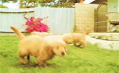 逛亚洲杯不露怯，独家攻略请查收！-7.gif