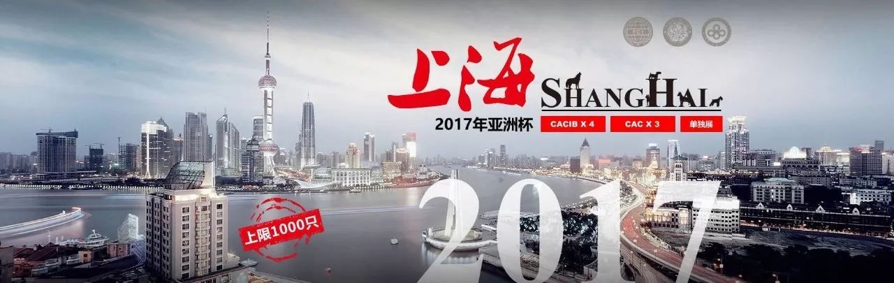 我用这沓票子，换你一句话。-1.jpeg