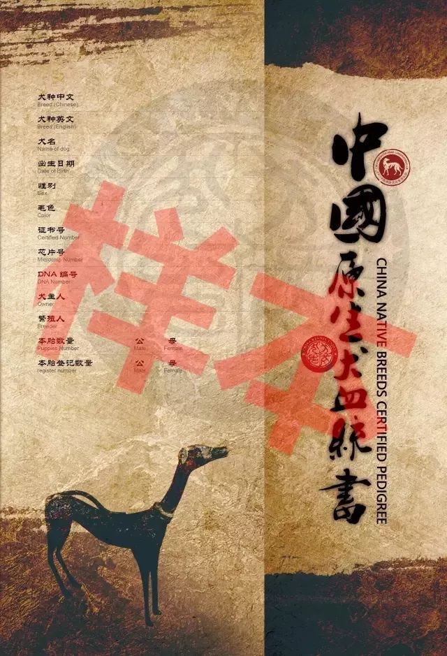 CKU首届中国原生犬 — 陕西细犬单独展完美落幕！-3.jpeg