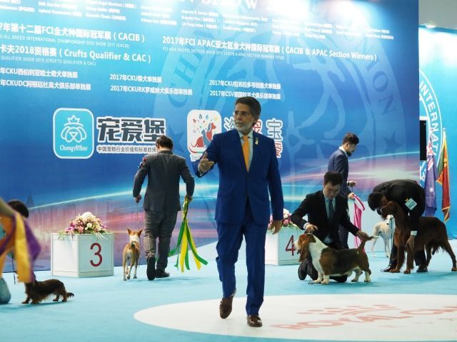 亚洲杯拉开序幕，我想发100张照片！-8.jpeg