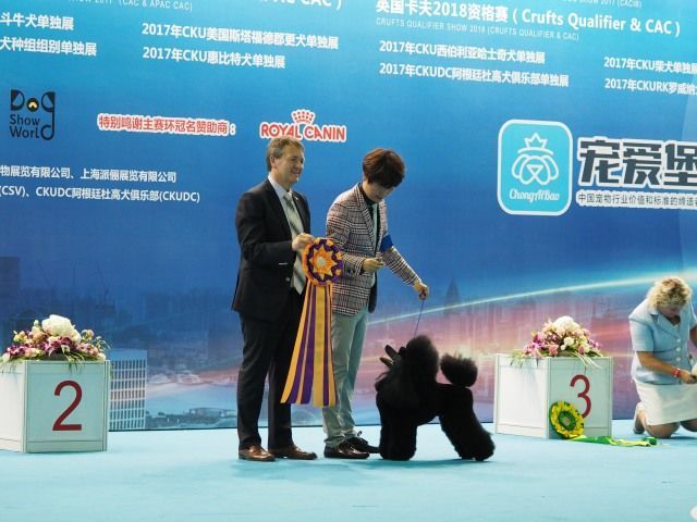 亚洲杯拉开序幕，我想发100张照片！-27.jpeg