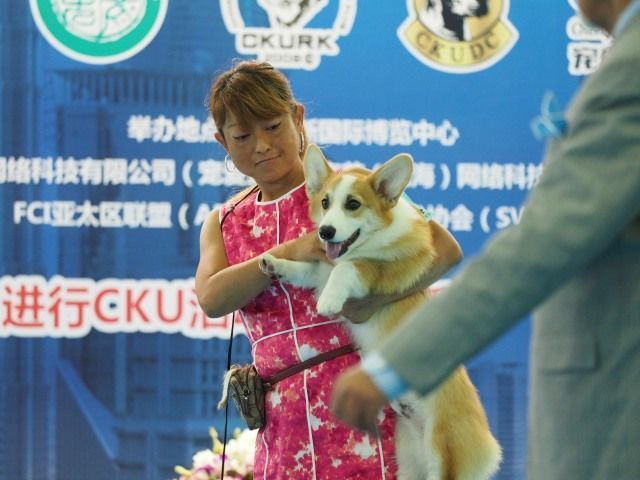 亚洲杯拉开序幕，我想发100张照片！-37.jpeg
