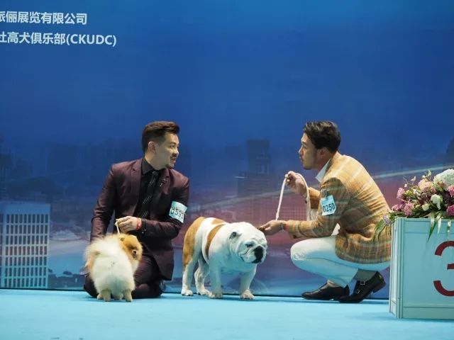 每逢佳节胖三斤，多亏来逛亚洲杯-24.jpeg