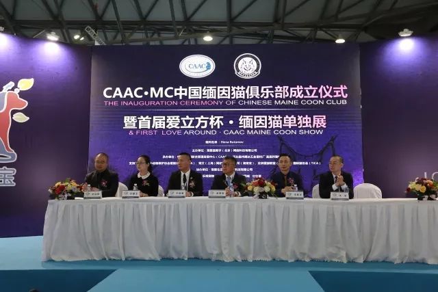 CAAC成立缅因猫俱乐部，海量猫片儿放送！-1.jpeg