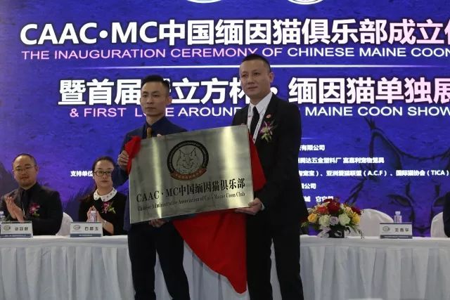 CAAC成立缅因猫俱乐部，海量猫片儿放送！-3.jpeg
