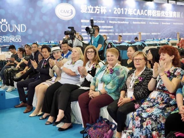 CAAC成立缅因猫俱乐部，海量猫片儿放送！-6.jpeg