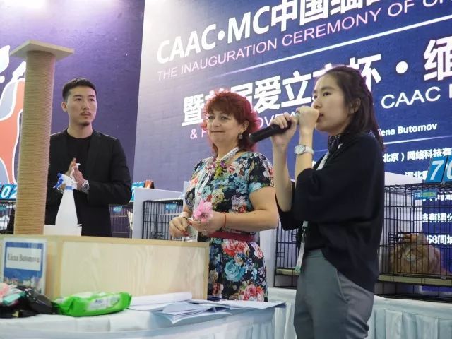 CAAC成立缅因猫俱乐部，海量猫片儿放送！-5.jpeg