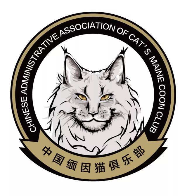 CAAC成立缅因猫俱乐部，海量猫片儿放送！-7.jpeg