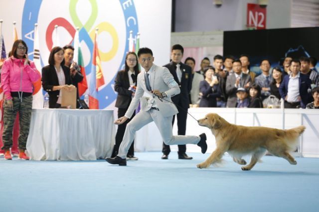 返图来了，2017亚洲杯因你而精彩！-6.jpeg