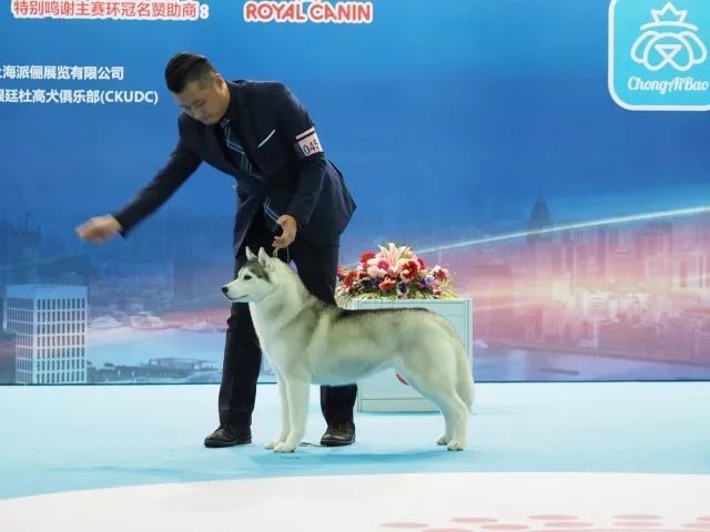 返图来了，2017亚洲杯因你而精彩！-12.jpeg