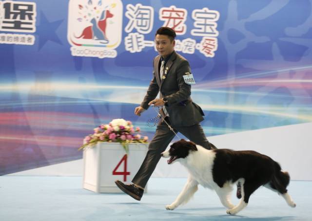 返图来了，2017亚洲杯因你而精彩！-16.jpeg