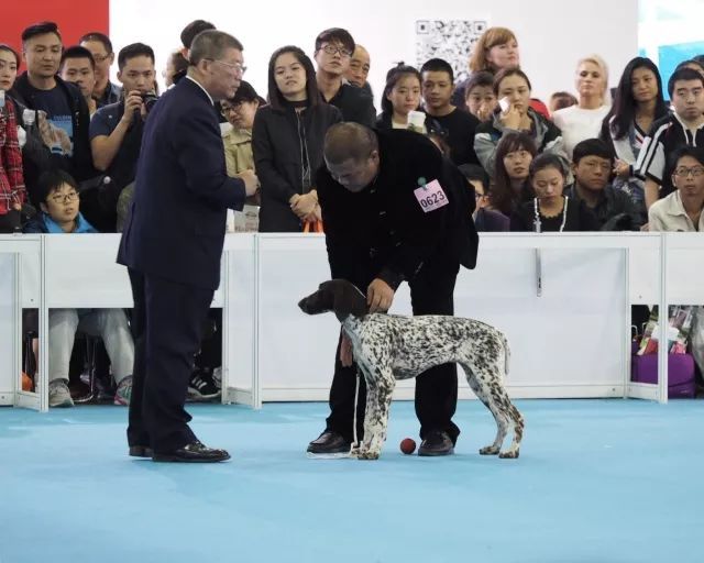 返图来了，2017亚洲杯因你而精彩！-14.jpeg