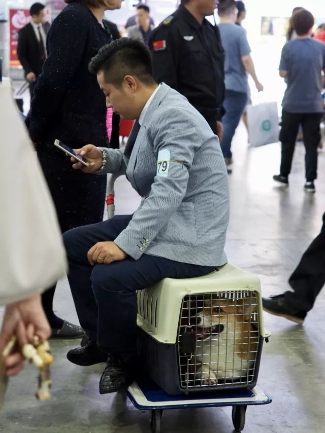 返图来了，2017亚洲杯因你而精彩！-24.jpeg