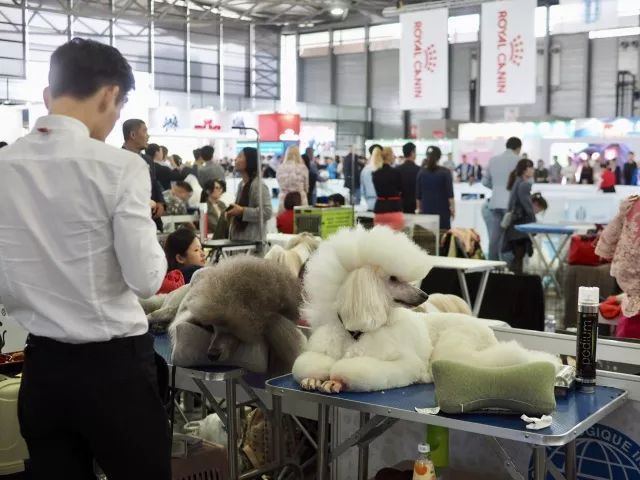 返图来了，2017亚洲杯因你而精彩！-25.jpeg