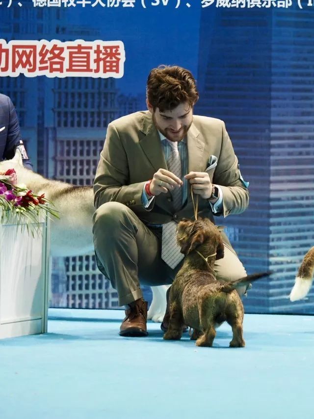 返图来了，2017亚洲杯因你而精彩！-66.jpeg